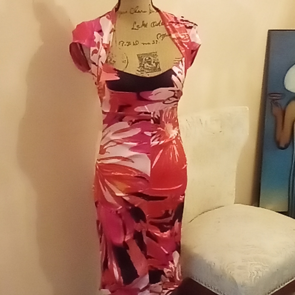 Cache Silky Floral Ruched Drsss